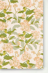 Grier Peach Hydrangea Wallpaper Sample