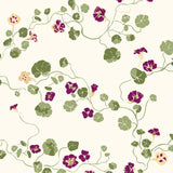 Nasturtium Tamarind Wallpaper