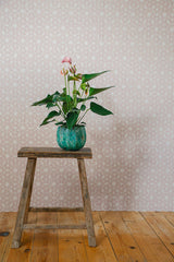 Taraka Pink Dusk Wallpaper Sample