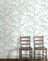 Nasturtium Pacifica Wallpaper