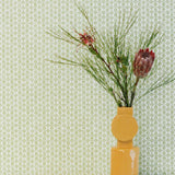 SETO MINI Spring Wallpaper Sample