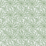 Coral Haze Sage Wallpaper Sample