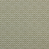 Oletta Farro Outdoor Performance Fabric Sample