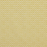 Oletta Soleil Outdoor Performance Fabric Sample