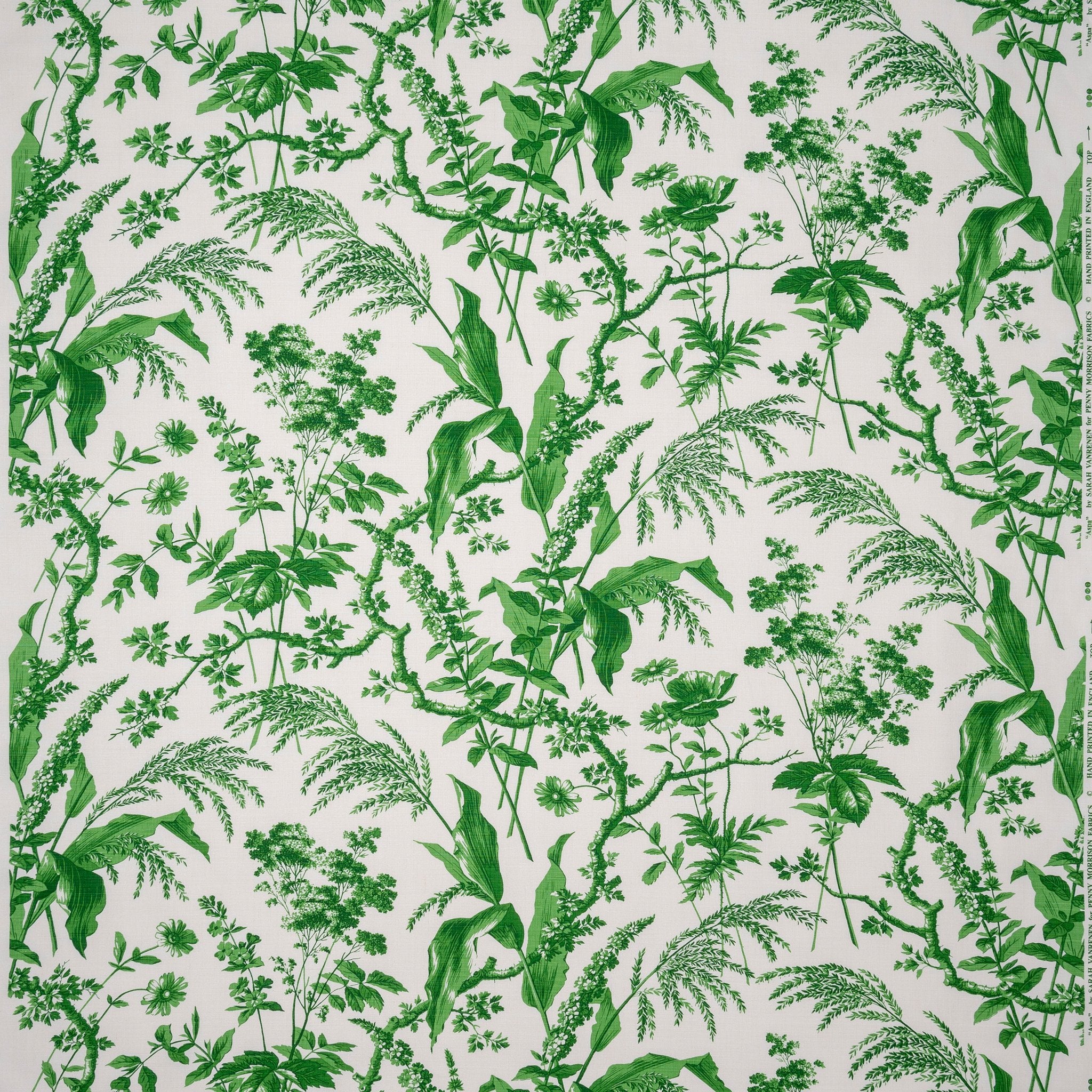 Aspa Green Fabric Sample – The Fabric Collective