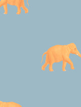Eli Orange on Blue Wallpaper Sample