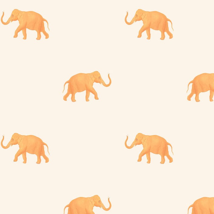 Eli Orange on Cream Wallpaper Sample