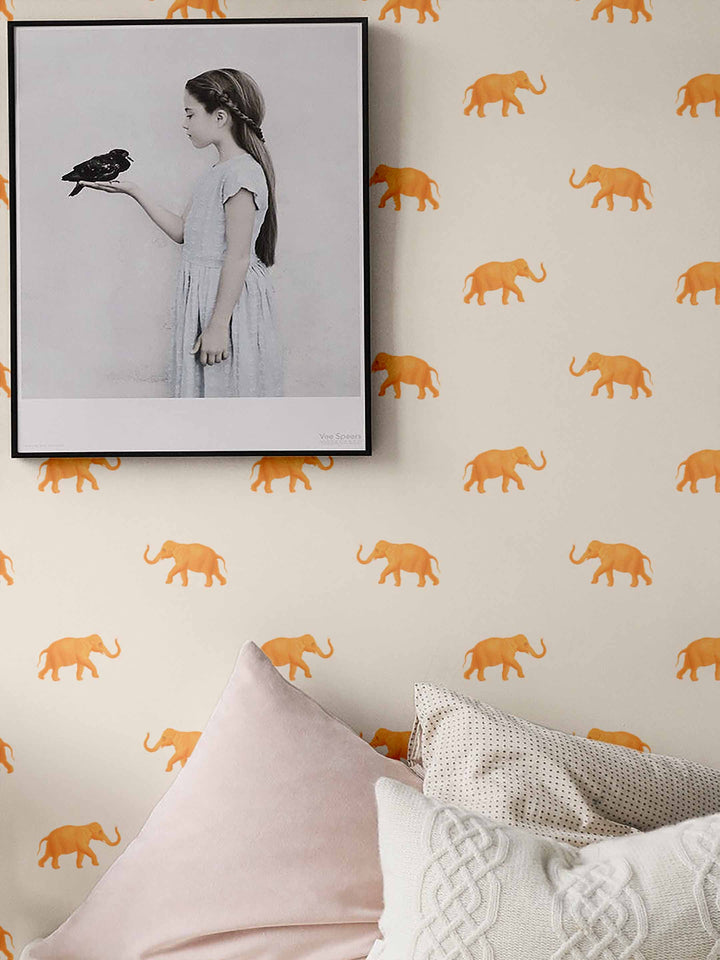 Eli Orange on Cream Wallpaper Sample