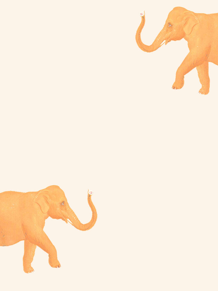 Eli Orange on Cream Wallpaper Sample