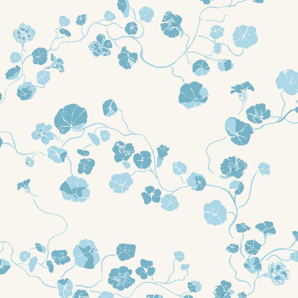 Nasturtium Pacifica Wallpaper