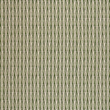 Ziggy Grass