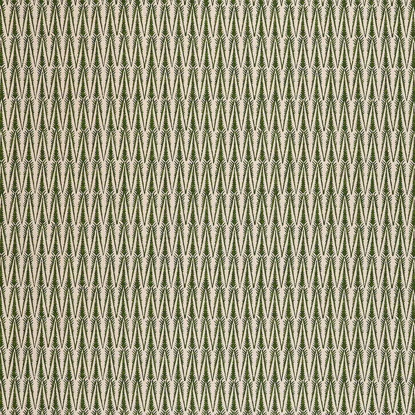Ziggy Grass