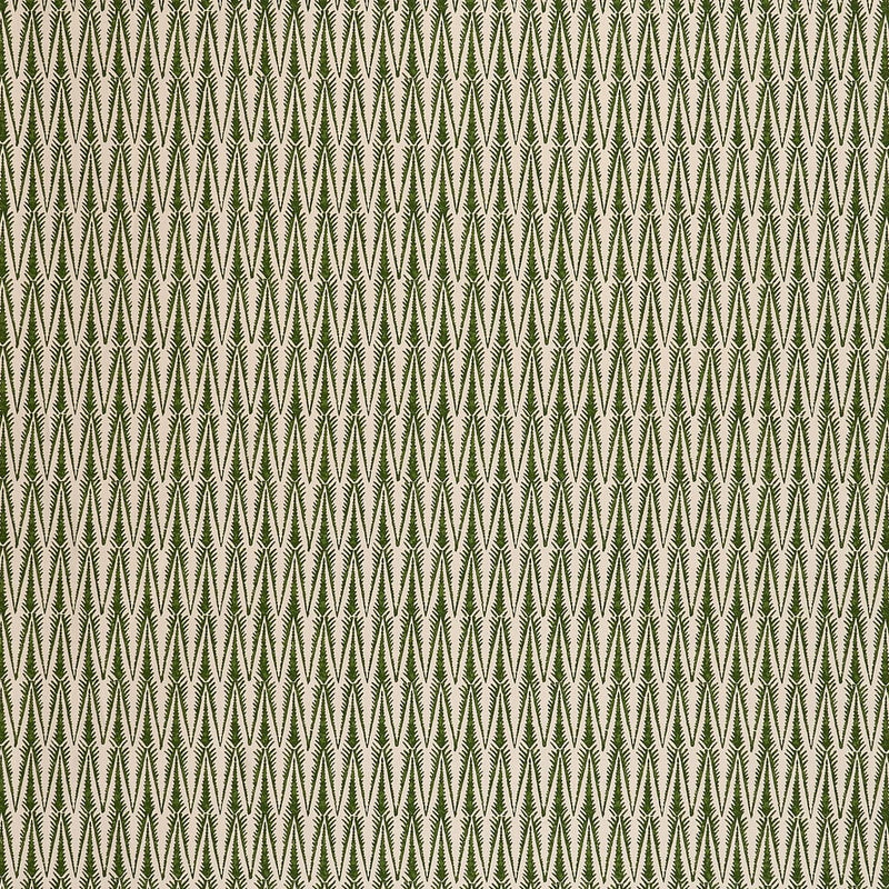 Ziggy Grass