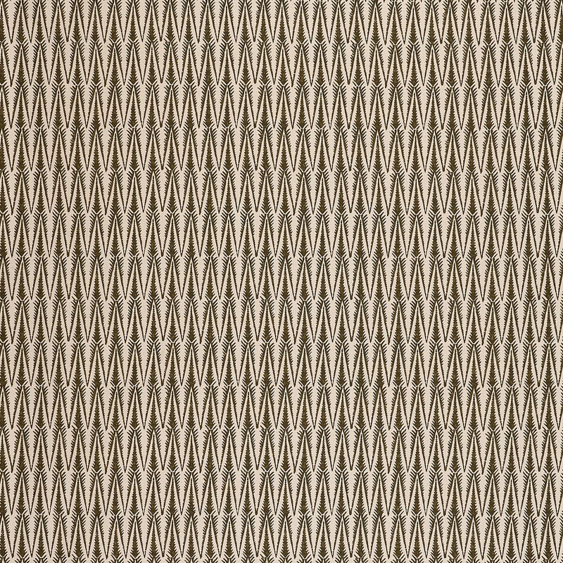 Ziggy Olive