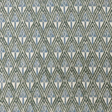 Mina Denim Fabric Sample