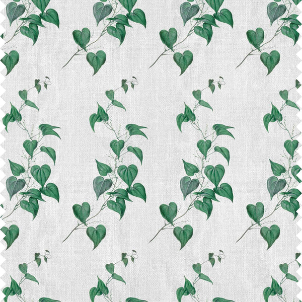 Vines Fabric Sample