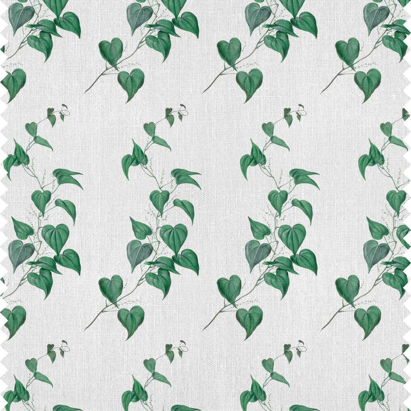 Vines Fabric Sample