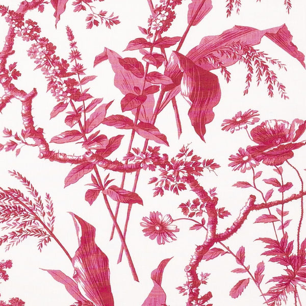 Penny-Morrison-Aspa-Raspberry-Pink-Leaf-Floral-Illustrative