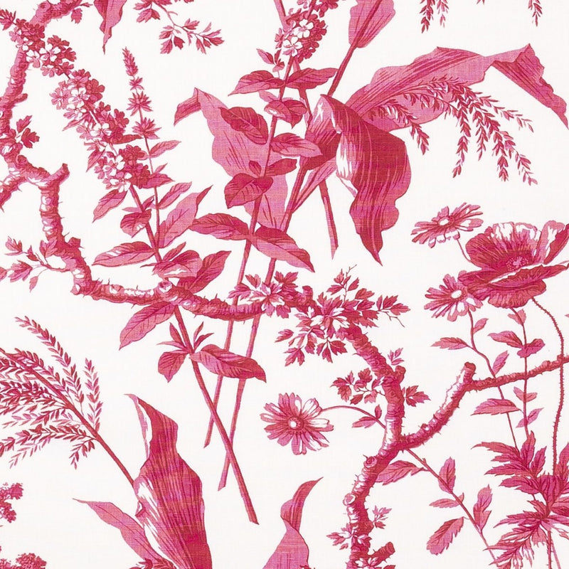 Penny-Morrison-Aspa-Raspberry-Pink-Leaf-Floral-Illustrative