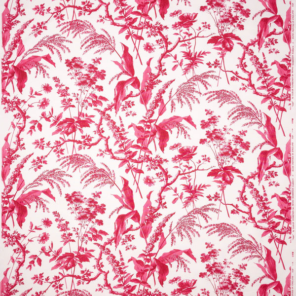 Penny-Morrison-Aspa-Raspberry-Pink-Leaf-Floral-Illustrative