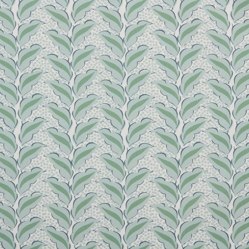 Cassis Aloe Outdoor Performance