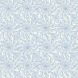 Coral Haze Sky Wallpaper Sample