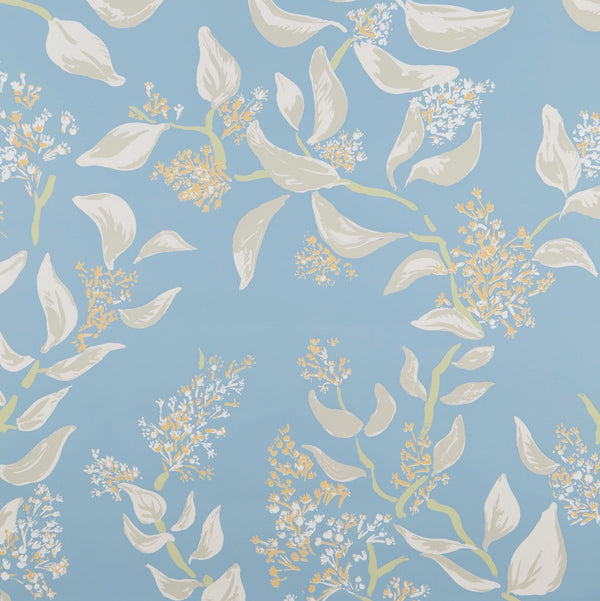 Snowbrush Ciel Wallpaper