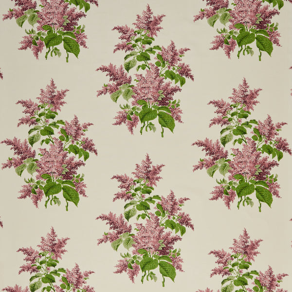 Lilac Original