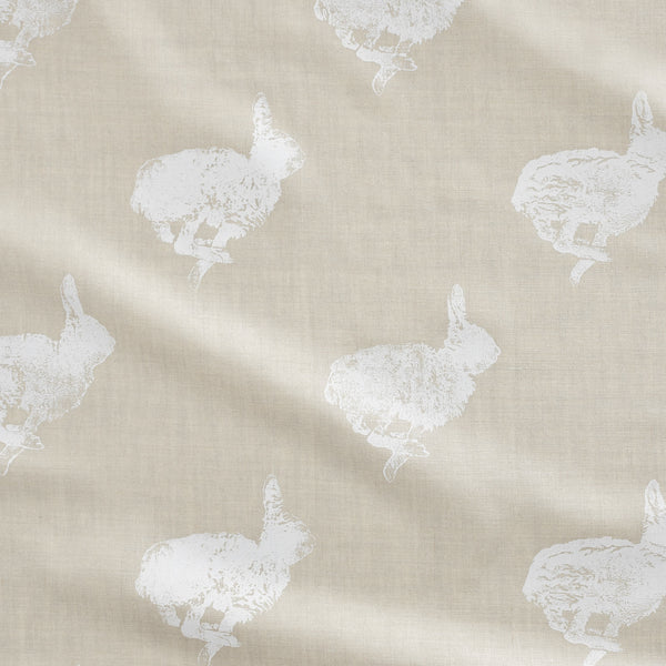 Bun New Morning