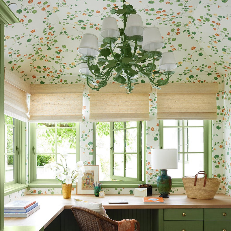 Nasturtium Bigleaf Wallpaper