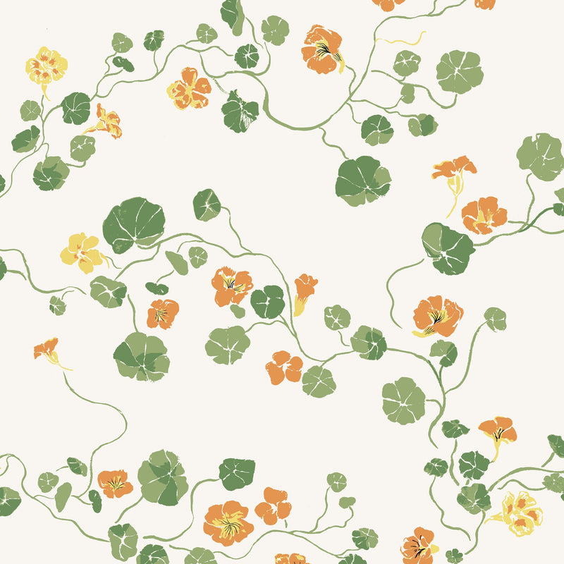 Nasturtium Bigleaf Wallpaper