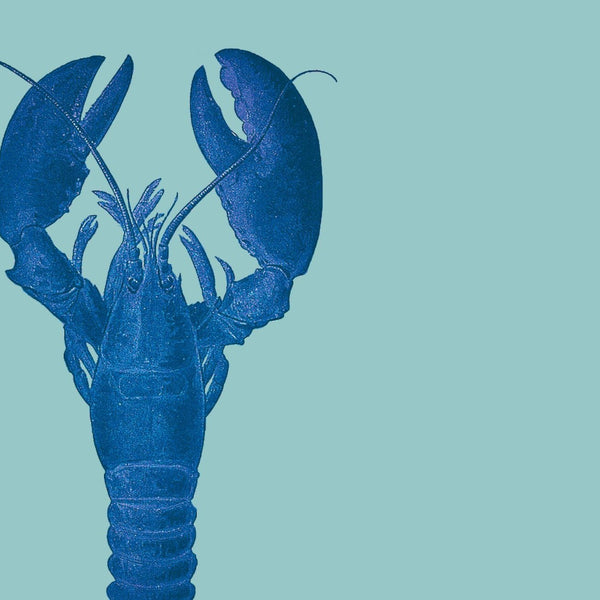 Lady Lobster Aquaman Wallpaper Sample