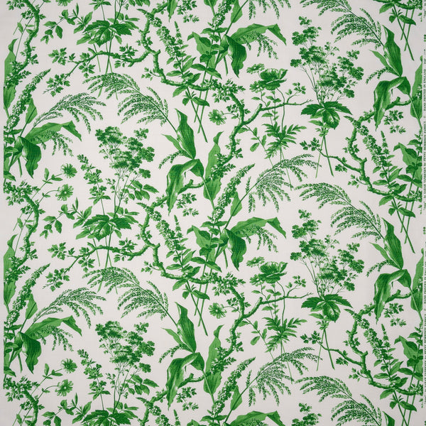 Penny-Morrison-Aspa-Green-Leaf-Floral-Illustrative
