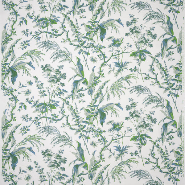 Penny-Morrison-Aspa Eau-de-Nil-Green-Leaf-Floral-Illustrative