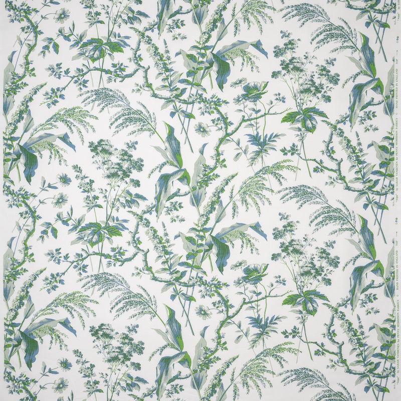 Penny-Morrison-Aspa Eau-de-Nil-Green-Leaf-Floral-Illustrative