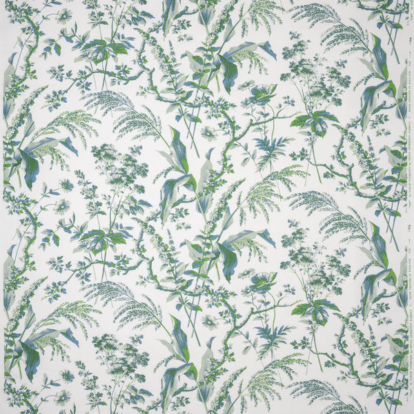 Penny-Morrison-Aspa Eau-de-Nil-Green-Leaf-Floral-Illustrative