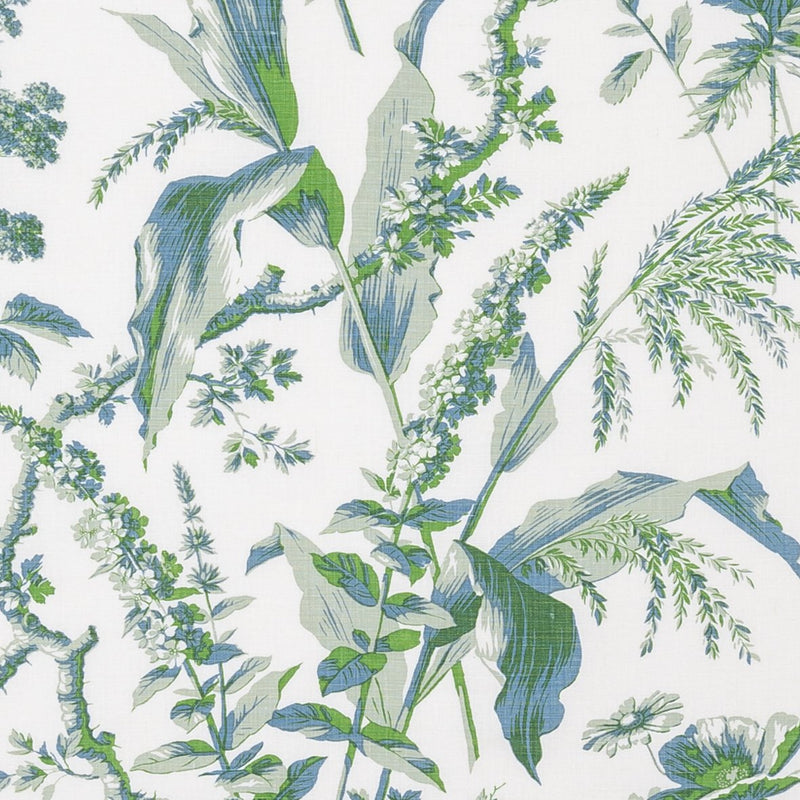 Penny-Morrison-Aspa-Eau-de-Nil-Green-Leaf-Floral-Illustrative