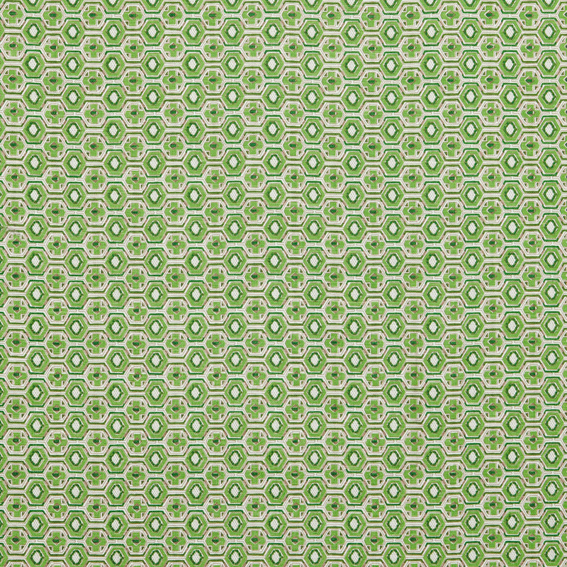 Veneto Kelly Green Fabric Sample